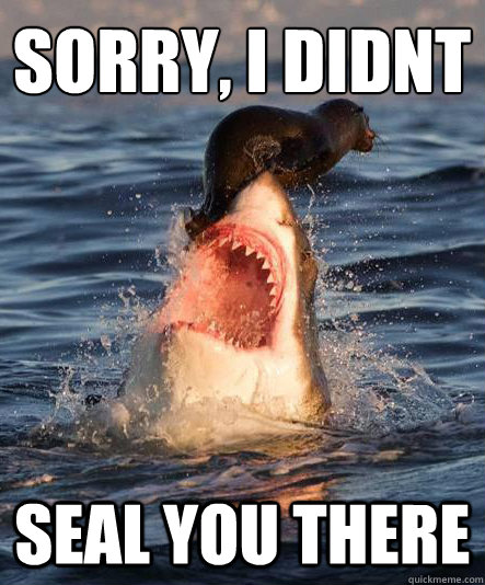 sorry i didnt seal you there - Misunderstood great white
