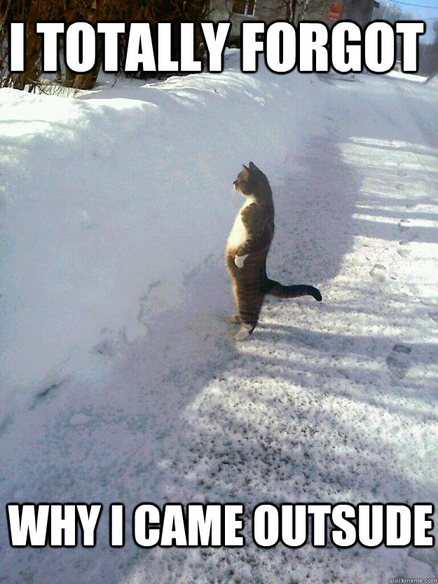 i totally forgot why i came outsude - CatSnowbank