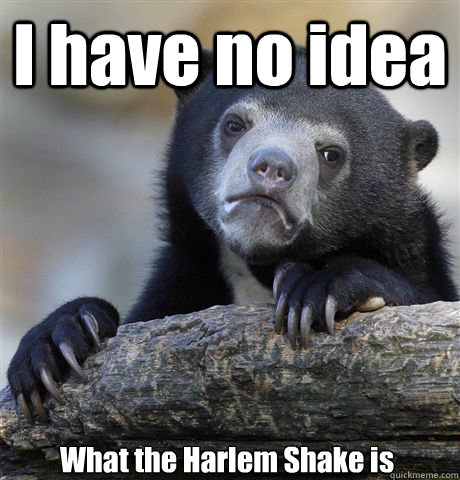 i have no idea what the harlem shake is - Confession Bear