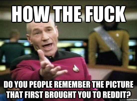 how the fuck do you people remember the picture that first b - Annoyed Picard HD
