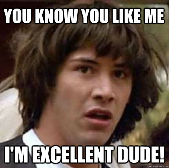 you know you like me im excellent dude - conspiracy keanu