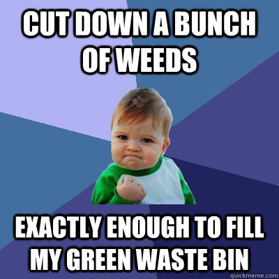cut down a bunch of weeds exactly enough to fill my green wa - Success Kid