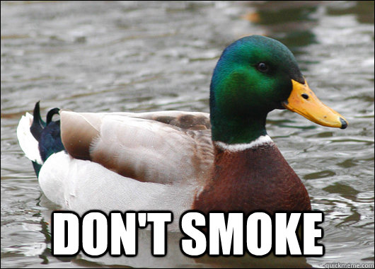 dont smoke - Actual Advice Mallard