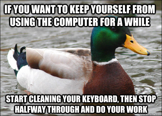 if you want to keep yourself from using the computer for a w - Actual Advice Mallard