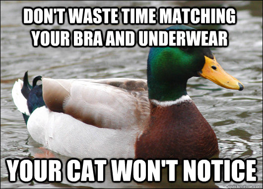 dont waste time matching your bra and underwear your cat wo - Actual Advice Mallard