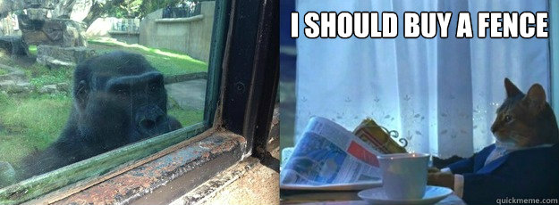 i should buy a fence -