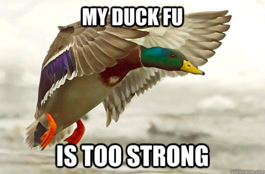 my duck fu is too strong -