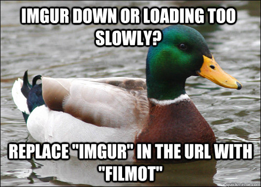 imgur down or loading too slowly replace imgur in the url - Actual Advice Mallard