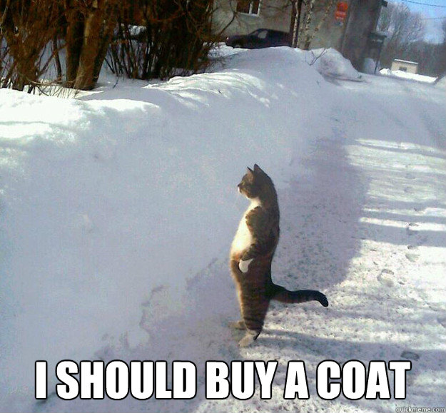 i should buy a coat -