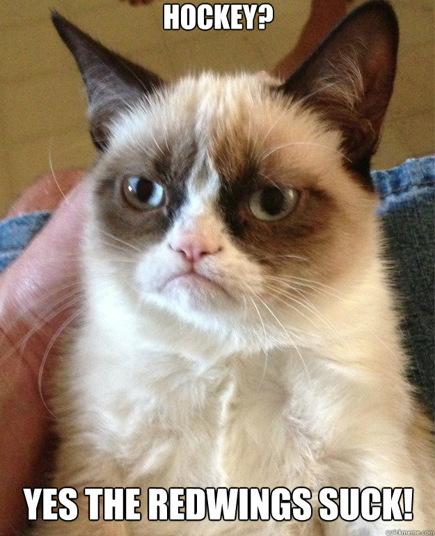 red wings grumpy cat red wings grumpy cat