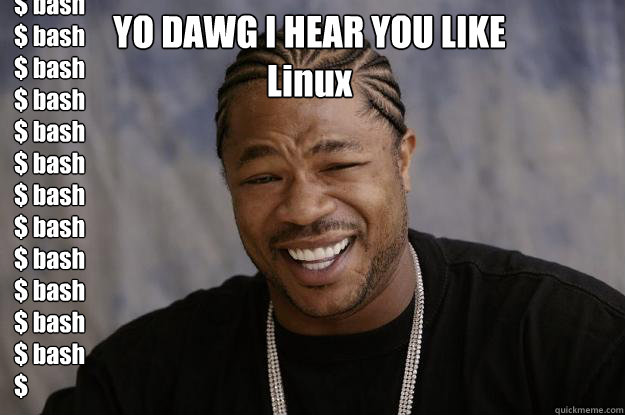 yo dawg i hear you like linux bash bash bash bash - Xzibit meme