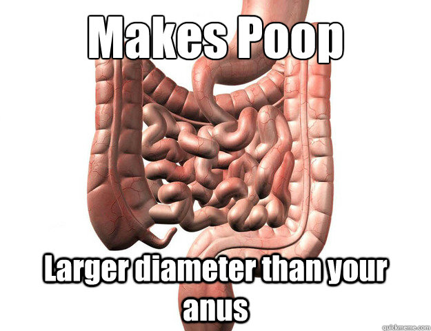 makes poop larger diameter than your anus - Scumbag Intestine