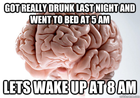 got really drunk last night and went to bed at 5 am lets wak - ScumbagBrain