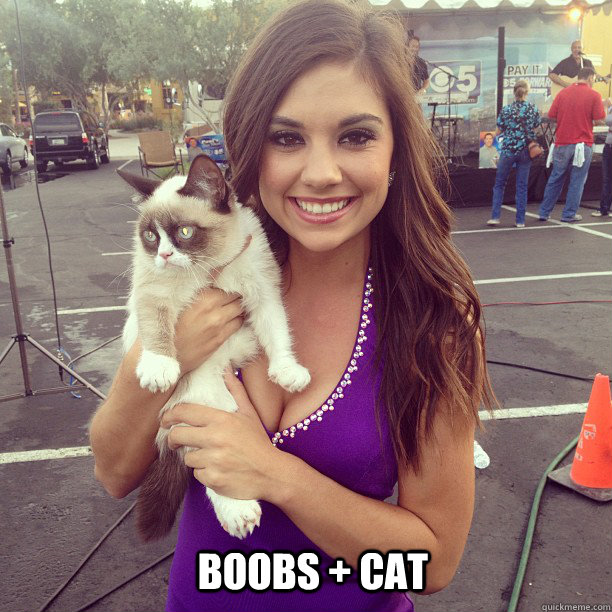 boobs cat -
