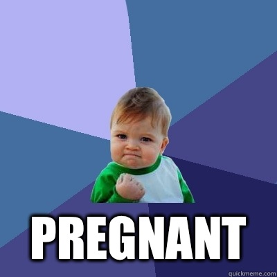 Pregnant - Success Kid