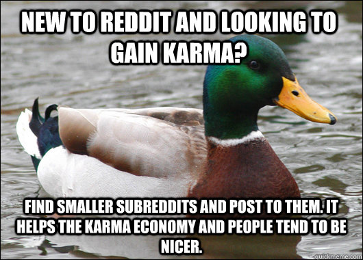 new to reddit and looking to gain karma find smaller subred - Actual Advice Mallard