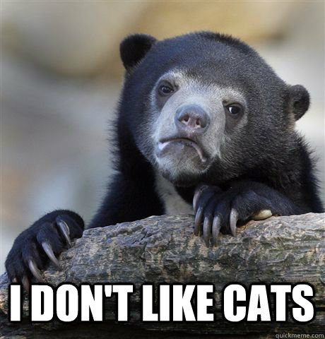 i dont like cats - Confession Bear