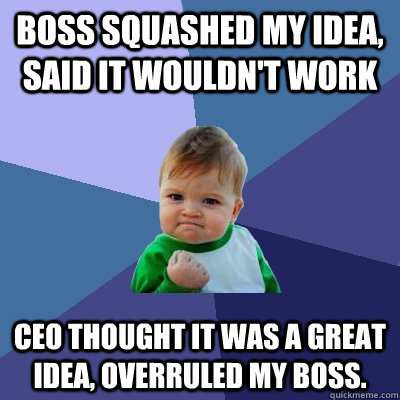 boss squashed my idea said it wouldnt work ceo thought it - Success Kid