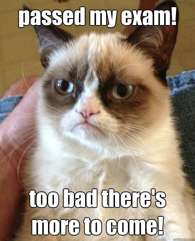 passed my exam too bad theres more to come - Grumpy Cat