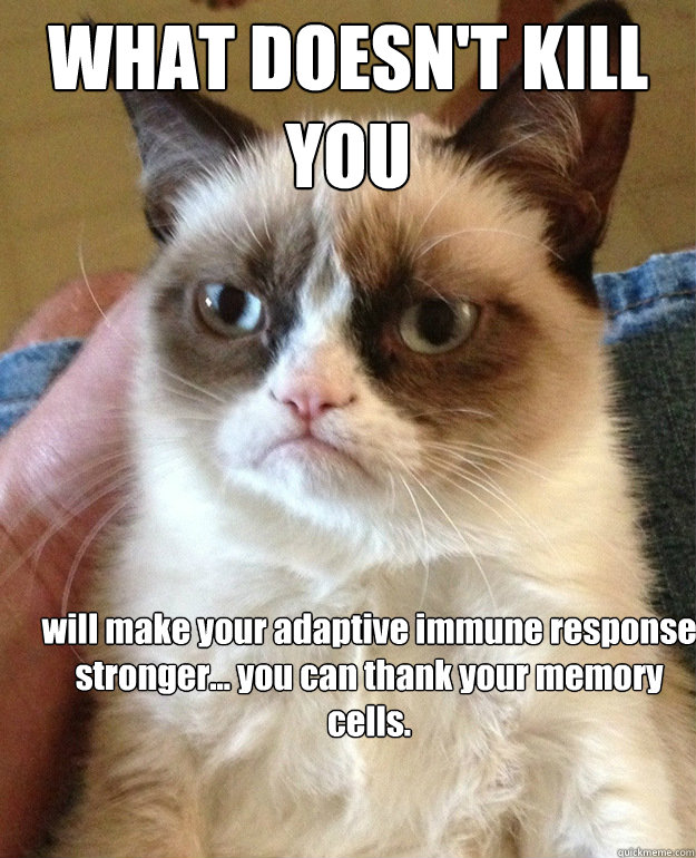 what doesnt kill you will make your adaptive immune respons - Grumpy Cat