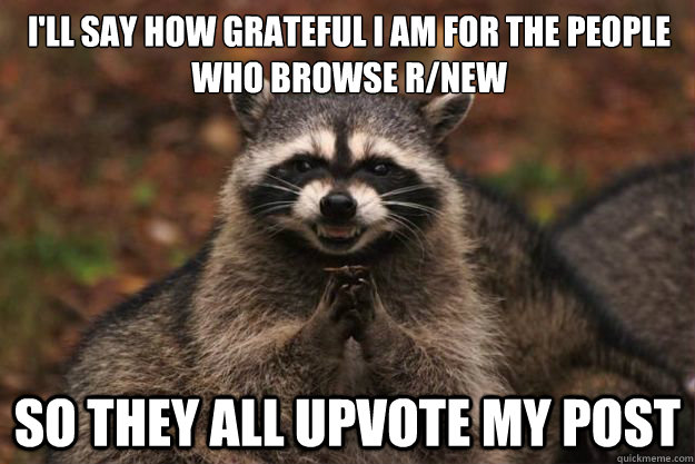 ill say how grateful i am for the people who browse rnew s - Evil Plotting Raccoon