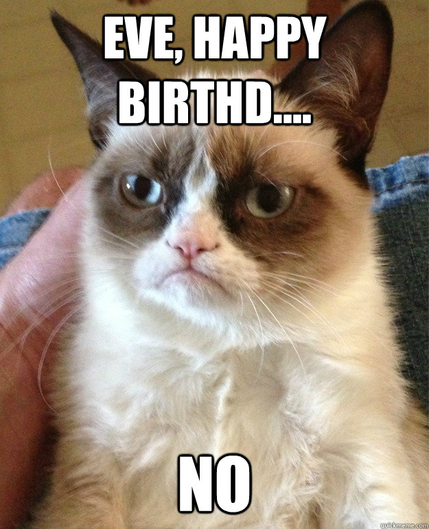 eve happy birthd no - Grumpy cat