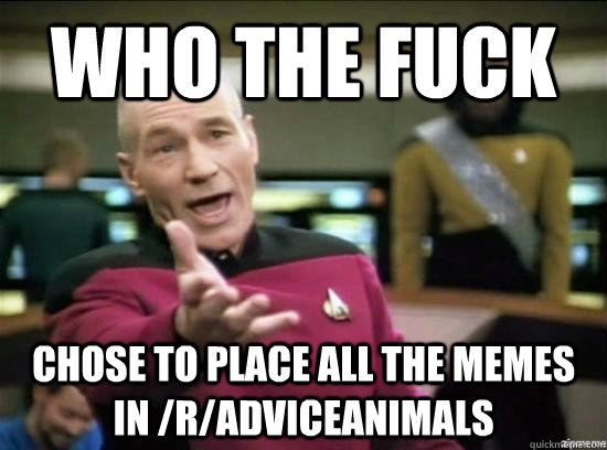 who the fuck chose to place all the memes in radviceanimal - Annoyed Picard HD