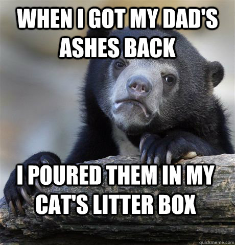 when i got my dads ashes back i poured them in my cats lit - confessionbear