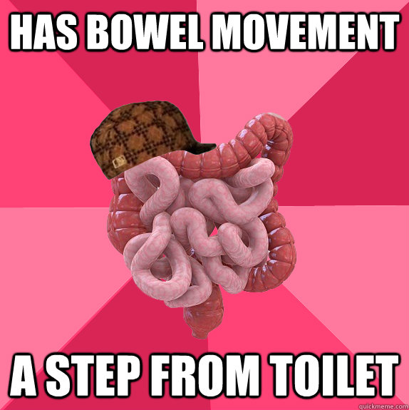 has bowel movement a step from toilet - Scumbag Intestines