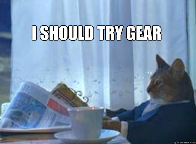 i should try gear - I should buy a boat cat