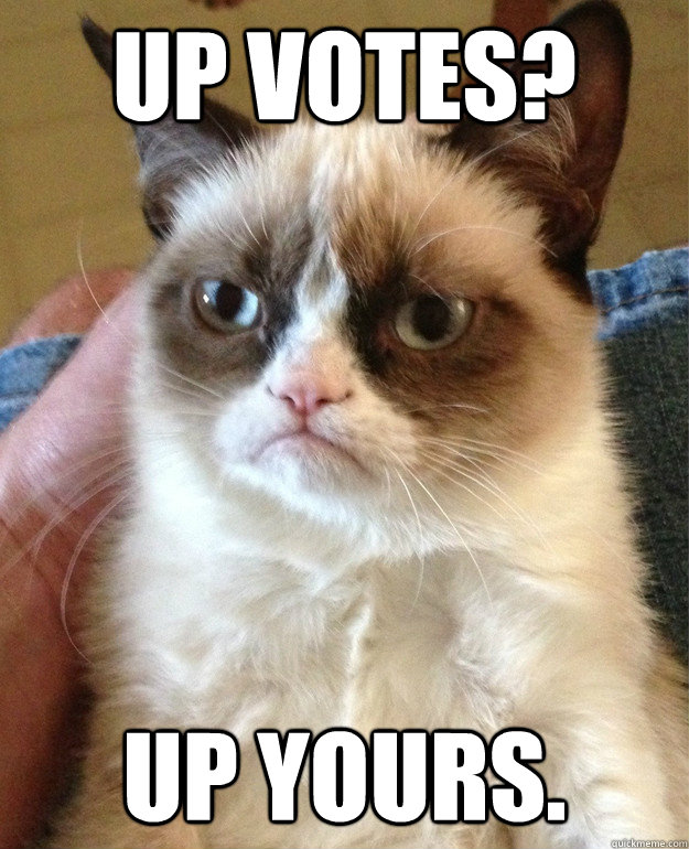 up votes up yours - Grumpy cat