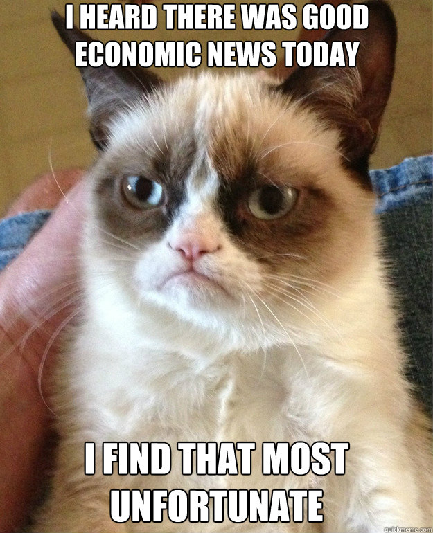 i heard there was good economic news today i find that most - Grumpy Cat
