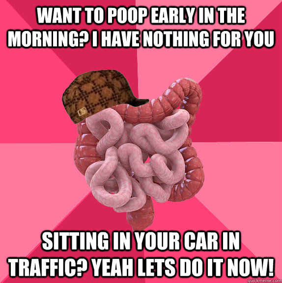 want to poop early in the morning i have nothing for you si - Scumbag Intestines