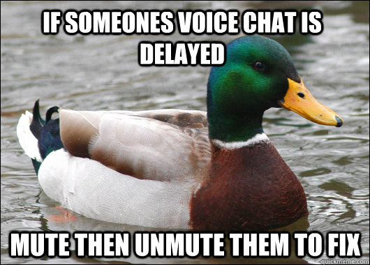 if someones voice chat is delayed mute then unmute them to f - Actual Advice Mallard
