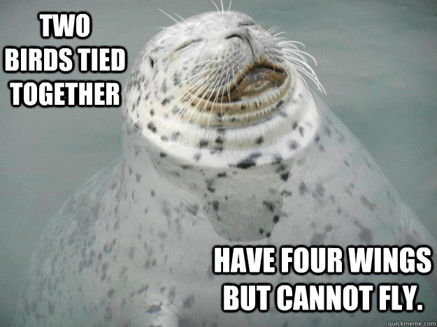 two birds tied together have four wings but cannot fly - Zen Seal