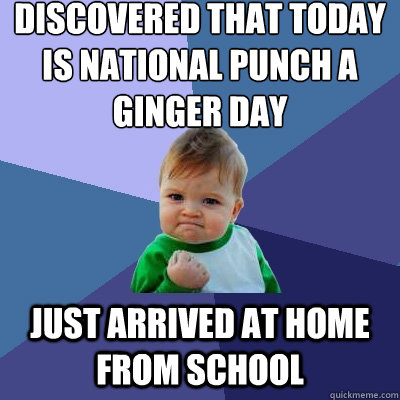 discovered that today is national punch a ginger day just ar - Success Kid