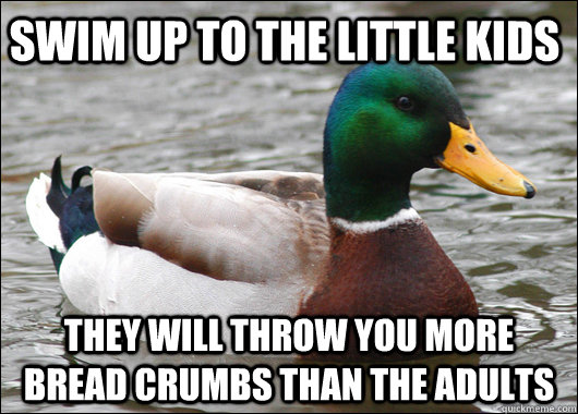 swim up to the little kids they will throw you more bread cr - Actual Advice Mallard