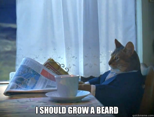 i should grow a beard - 120Cat