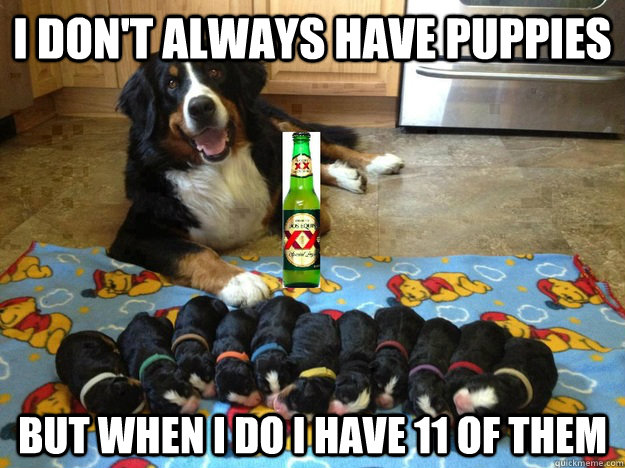 i dont always have puppies but when i do i have 11 of them -