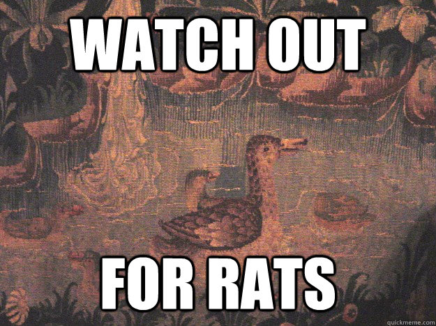 watch out for rats - Medieval Advice Mallard