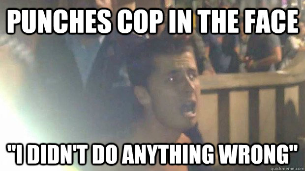 punches cop in the face i didnt do anything wrong -