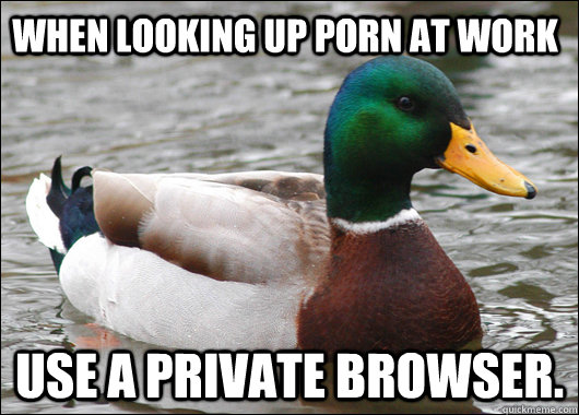 when looking up porn at work use a private browser - Actual Advice Mallard