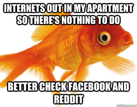 internets out in my apartment so theres nothing to do bette - Forgetful Fish