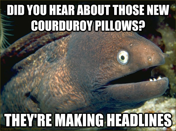 did you hear about those new courduroy pillows theyre maki - Bad Joke Eel