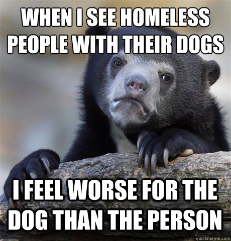 when i see homeless people with their dogs i feel worse for - Confession Bear