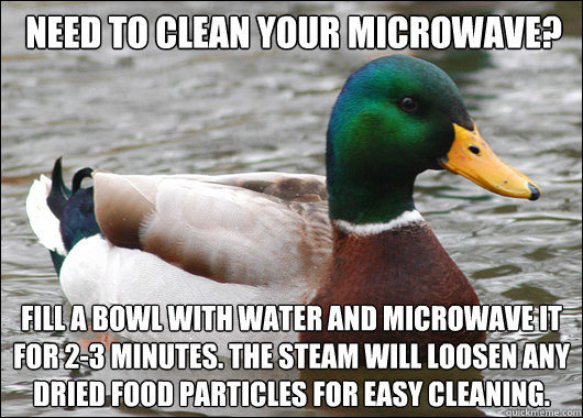 need to clean your microwave fill a bowl with water and mic - Actual Advice Mallard