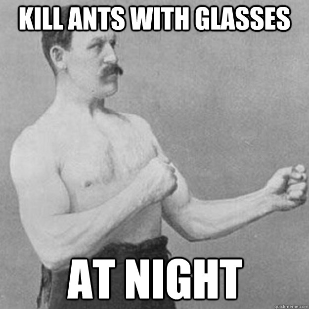 kill ants with glasses at night - overly manly man