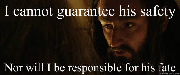 i cannot guarantee his safety nor will i be responsible for - Little Brother