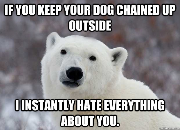 if you keep your dog chained up outside i instantly hate eve - Popular Opinion Polar Bear