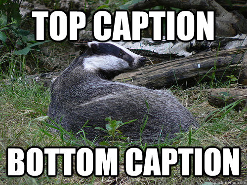 top caption bottom caption - Bastard Badger